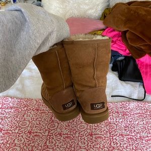 Classic Short Uggs